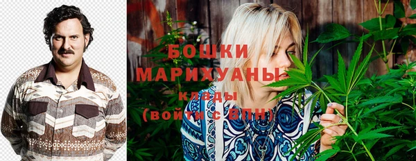 spice Надым