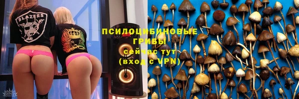 a pvp Нея