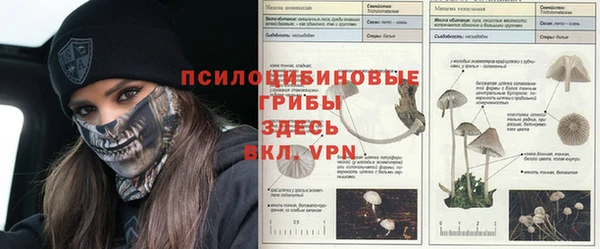 spice Надым