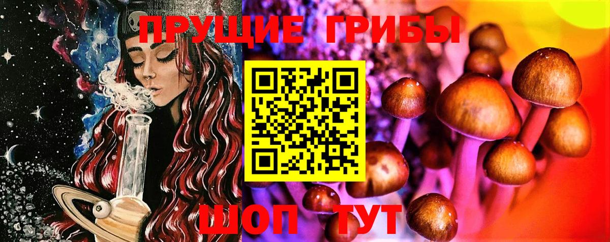 Галлюциногенные грибы GOLDEN TEACHER Калининград