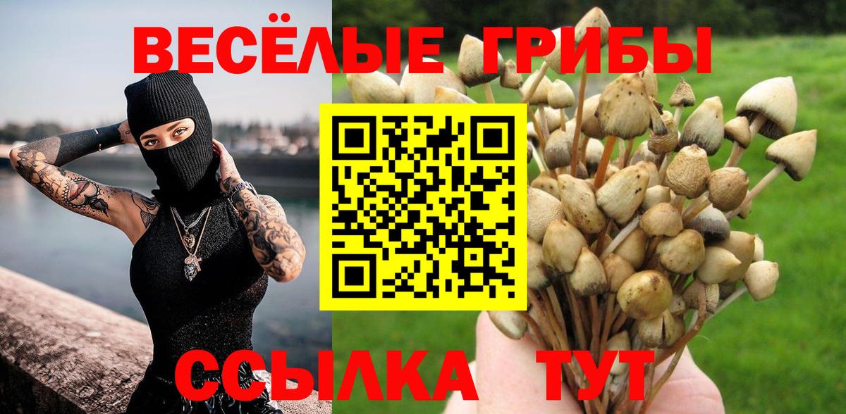 Калининград  наркота  Галлюциногенные грибы мухоморы  Вход с VPN  Псилоцибиновые грибы прущие грибы 