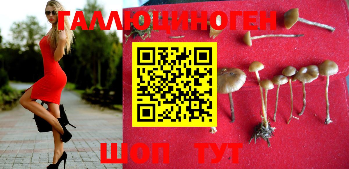 Псилоцибиновые грибы Magic Shrooms  Калининград 