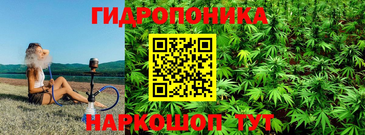 Каннабис ГИДРОПОН  Конопля VHQ  Конопля марихуана  Бошки марихуана White Widow  Калининград 